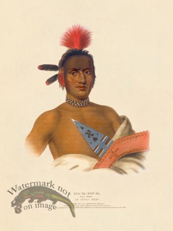 Moa-na-hon-ga Ioway